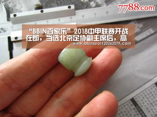 “BBIN百家乐”2018中甲联赛开战在即,当选北京足协副主席后,高洪波担子更重了(图2) BBIN娱乐城