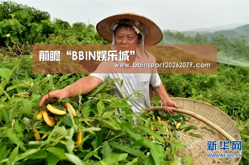 前瞻“BBIN娱乐城”(图2) BBIN登录